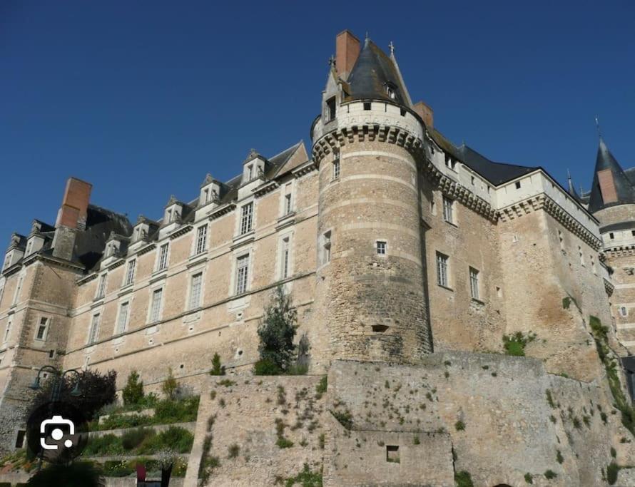 Cheviré-le-RougeMaison ,1 Chambre, Une Petite Piece , Un Salon, 5 Couchages别墅 外观 照片